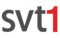 SVT1 SydNytt